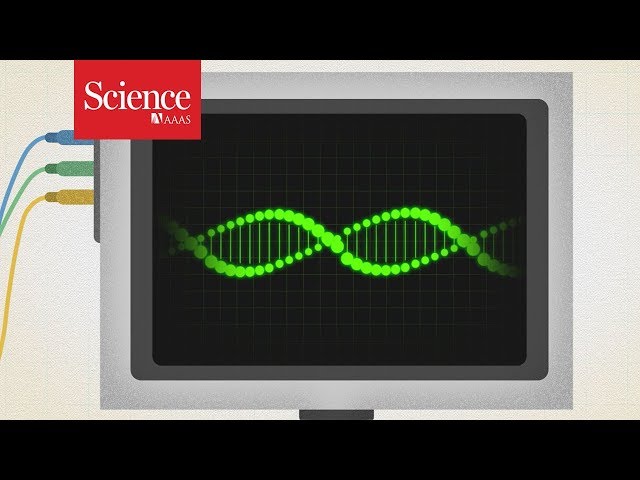 Science Explains: Undead genes. Why do some genes turn on after death?