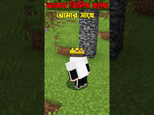 Minecraft But You Can Control My World #minecraft