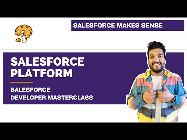 The Salesforce Platform | Chapter 3 | Salesforce Developer Masterclass