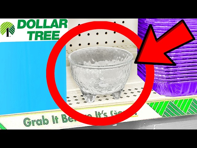10 Things You SHOULD Be Buying at Dollar Tree in September 2026