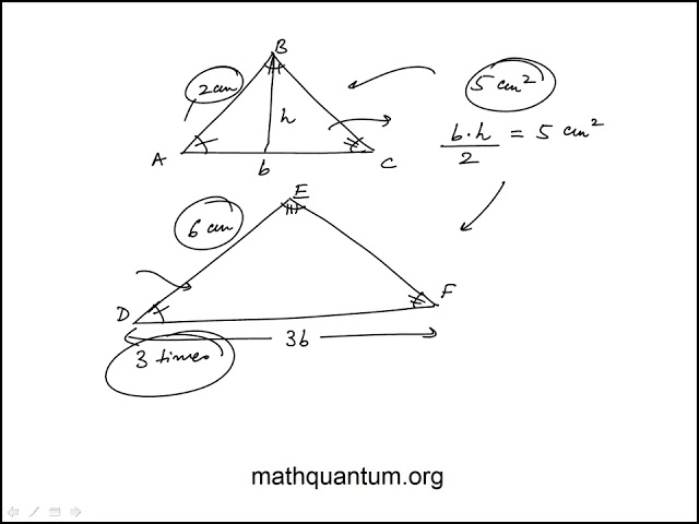 Q02 College Mathematics 2022 CLEP Official Study Guide