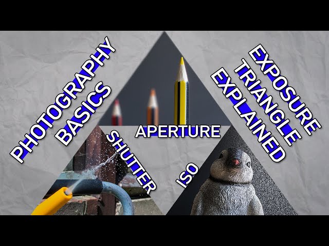 Master The Basics For Great Photography | Beginner