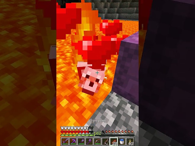 Minecraft Dog Save 🥹