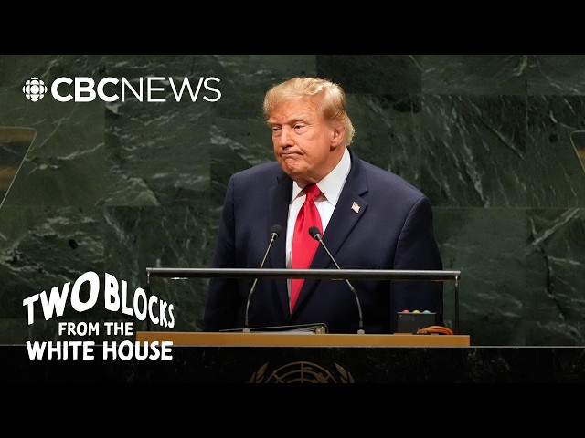 Does Donald Trump want to have allies?