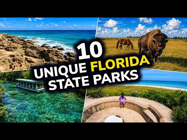 10 Unique FLORIDA State Parks You Have to See!