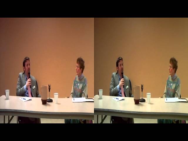 RPD12.5: Can naturalism account for qualia?