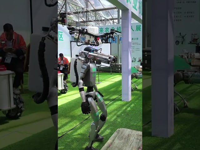 Look at This Mind Blowing Smart Farming In China - Cuts Costs, Boosts Yields...