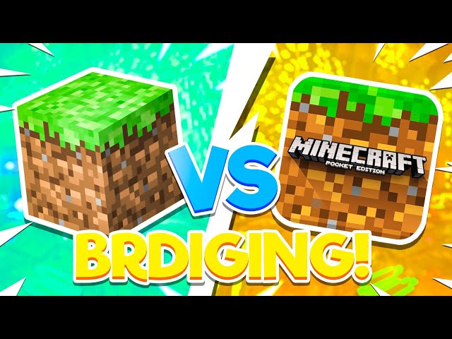 Java vs Bedrock Bridging
