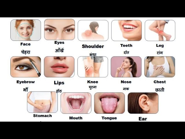 Body Parts Name English And Hindi with Picture l शरीर के अंग l Kids Vocabulary - Body - Human body l