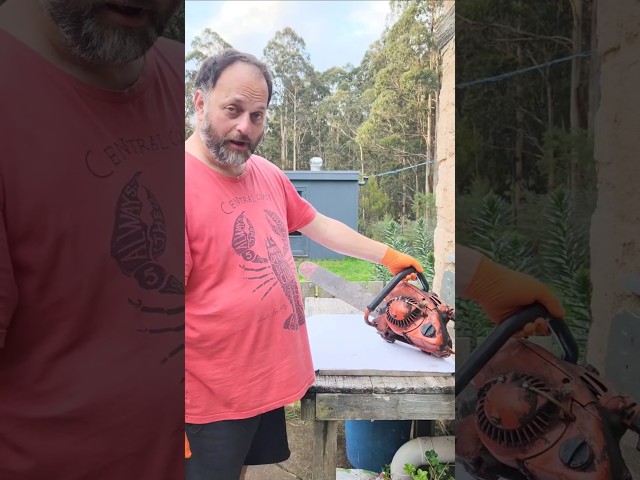 Is It Still Alive? Dolmar CA chainsaw