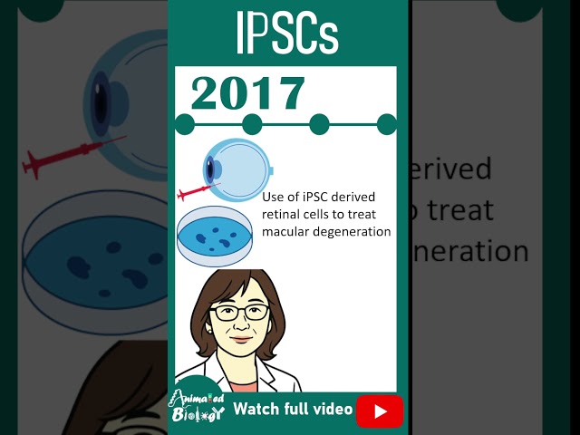 iPSCs: Turning Any Cell into stem Cells. But how? #animated_biology # #bio_facts #science