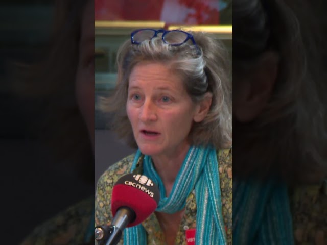 Have Toronto schools improved under Ontario's oversight? Expert says no