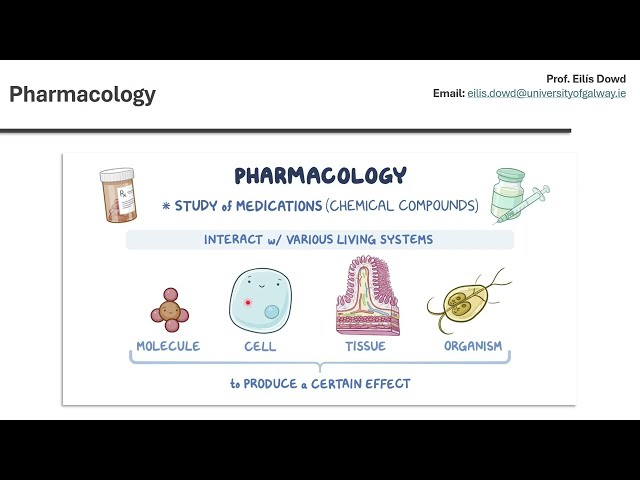 Pharmacology Pathway at University of Galway