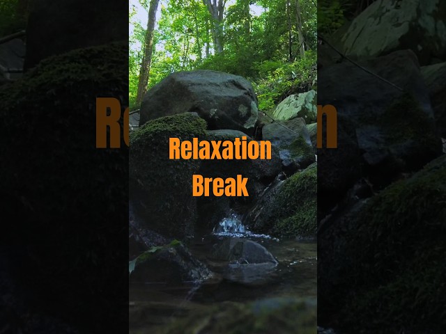 Relaxation Break #nature #mentalhealth #asmr #shorts #water #cozy #outdoors