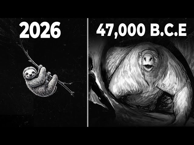 Why Were Prehistoric Sloths So Much More Terrifying Than Modern Sloths?