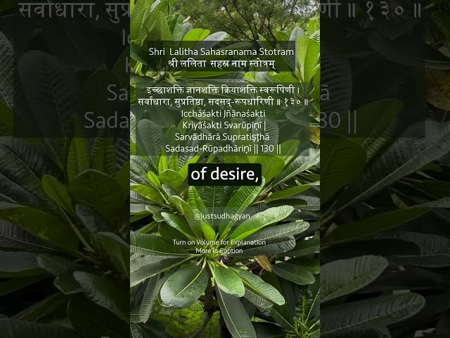 Shri Lalitha Sahasranamam Shloka 130 |इच्छाशक्ति ज्ञानशक्ति क्रियाशक्ति |Just Sudha Gyan
