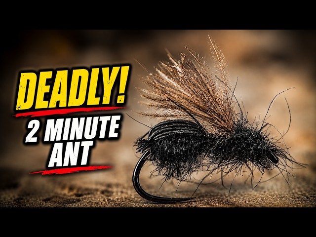 Deer Hair Ant Fly Pattern | Easy 2 Minute Fly Tying Tutorial