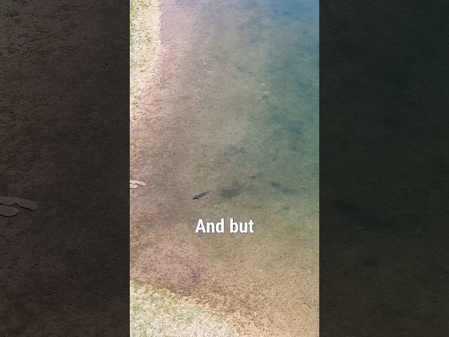 Stillwater Fly Fishing: How to Find Fish Fast