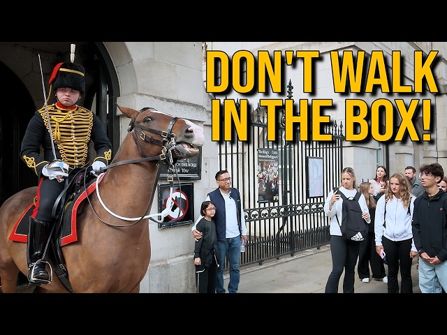 Brand New King's Guard At Horse Guards For Two-Week Royal Duty!
