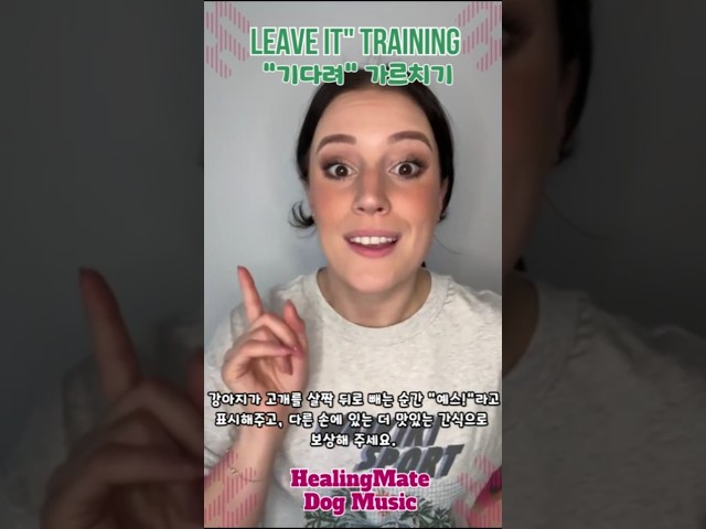 🐶💖Teach Your Dog "Leave It" in 60 Seconds💖🐶