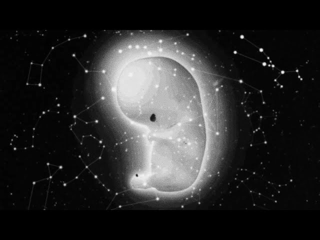 BRUJA - INTRO (Visualizer)