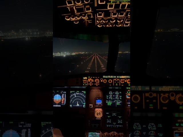 A320 night landing at Abu Dhabi
