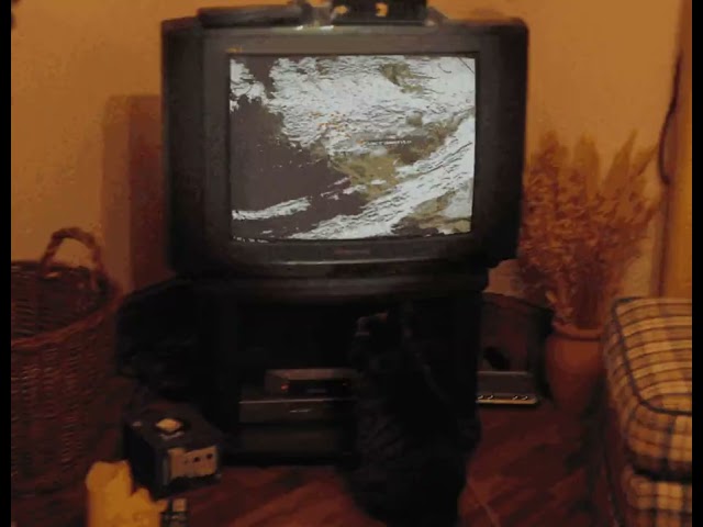 CBS Special bulletin with Dan Rather: Cataclysm on the West | 1996 IaK