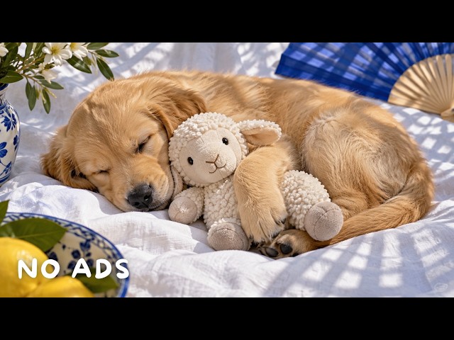 Puppy Lullabies 💤 12 Hours Dog Sleep Music | Deep Sleep & Anxiety Relief | No Ads