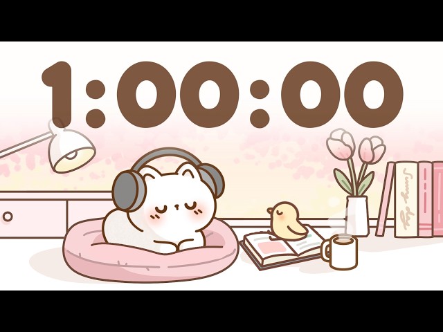 60 Minute Timer 🐱 1 Hour Study Timer for Classroom Focus