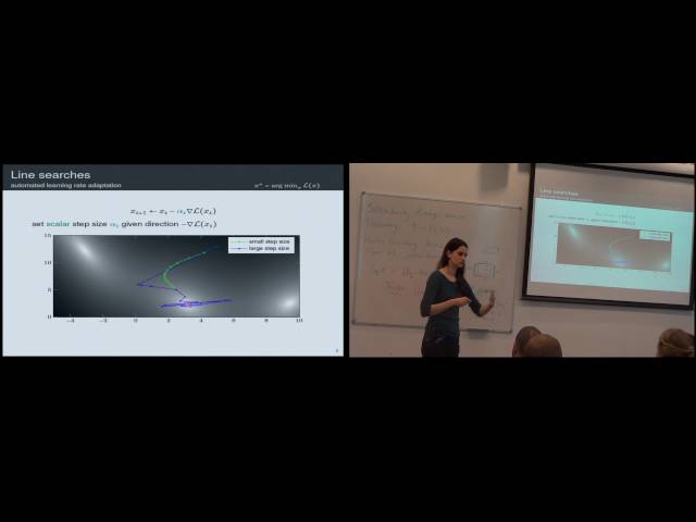 Maren Mahsereci: Robust Nonlinear Optimization