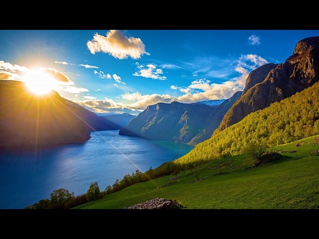 Meadow Sunrise, Beautiful Relaxing Music, Peaceful Soothing Instrumental Music, by Tim Janis