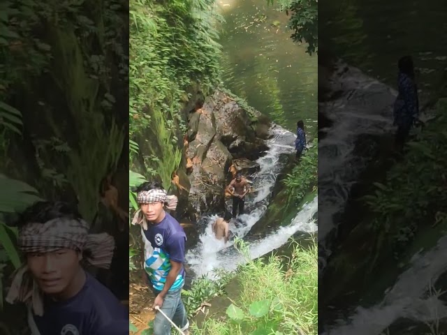 Waterfall in Deep Forest #waterfall #forest