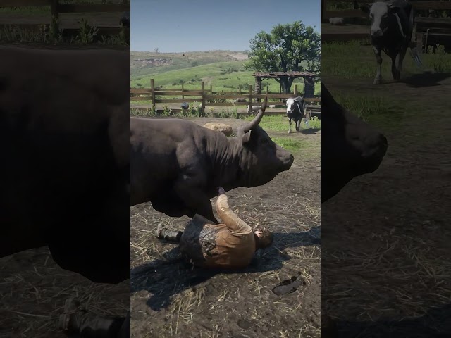 Bull Attack Red Dead Redemption 2 4K 60FPS #rattlesnake  #rattlesnakeattack #4k #rdr2
