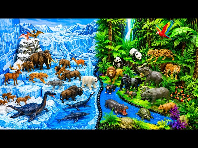 Learn a lot of Animals-Huge Diorama Collection with Magical Toys