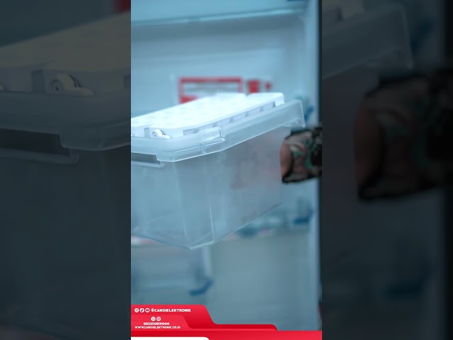 BARU...❗❕❗ Kullkas 2 Pintu SHARP Harga Merakyat, Fitur Melimpah || @sharp1ndonesia