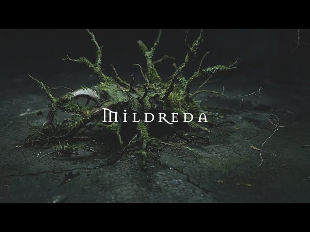Mildreda - End Of The Line (Lyric Video) [Official Lyric Video]
