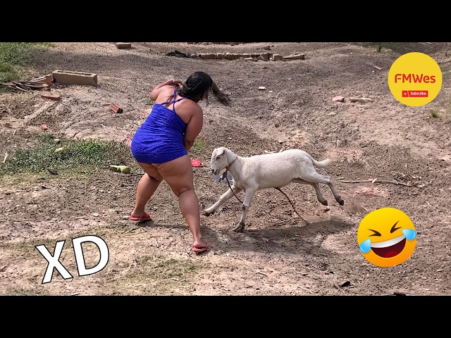 VIDEOS DE RISA 🤣 SI TE RÍES PIERDES NIVEL DIOS #857 😎 HUMOR VIRAL MEXICANO🤣