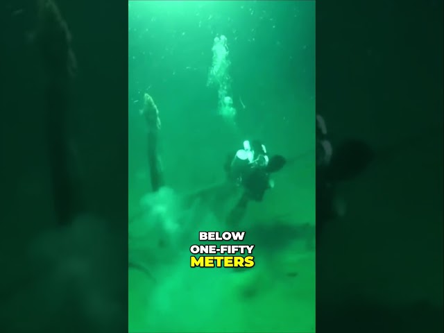 Exploring Ancient Shipwrecks Unveiling Untouched Treasures of the Black Sea