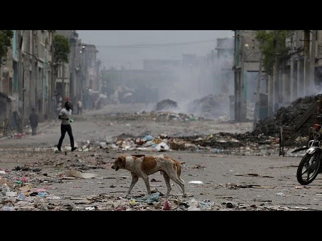 Strike called by opposition paralyzes Haiti
