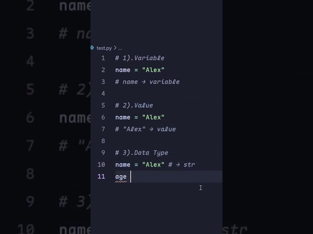 This video is really for the Python beginner