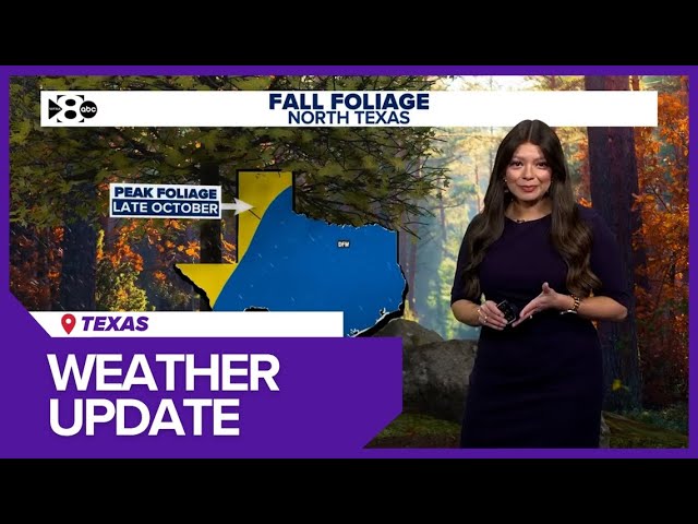 Texas weather update today | Full forecast