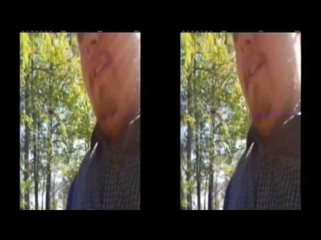 The Unknown Creature - Political Parody -in 3D-