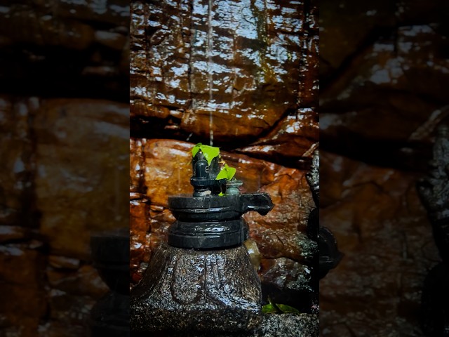 Sri Jeeva Lingeswara Swamy Temple 🛕 Tirupati. #shorts #shortvideo #lordshiva #status #trending