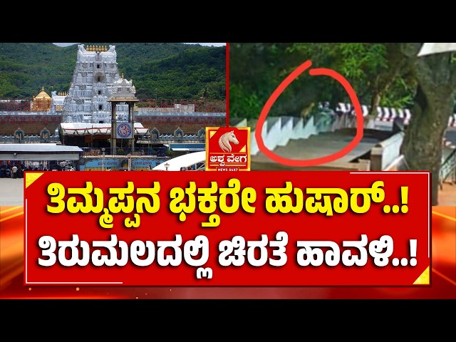 Leopard Spotted on Tirumala Footpath! | ತಿಮ್ಮಪ್ಪನ ಭಕ್ತರೇ ಹುಷಾರ್..!  ತಿರುಮಲದಲ್ಲಿ ಚಿರತೆ ಹಾವಳಿ..!