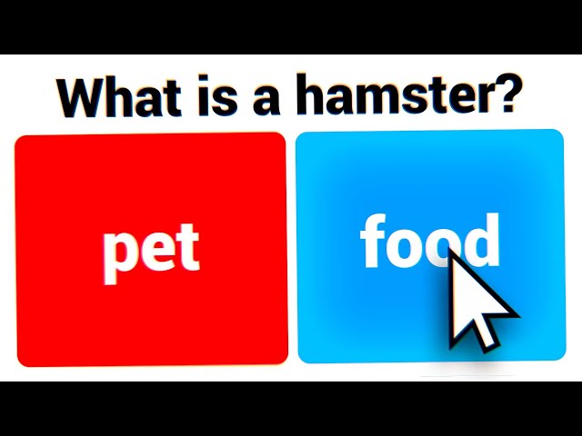 Absurd BuzzFeed Quizzes