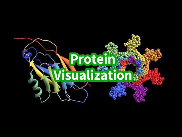 Visualize Protein Structures