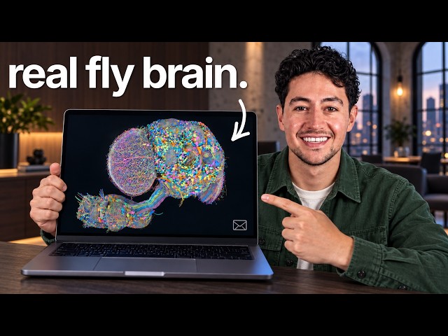 I Uploaded A Fruit Fly Brain To Reply To My Emails
