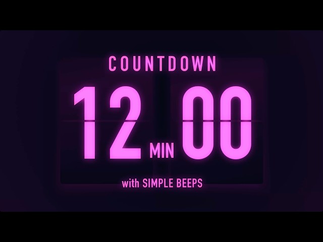 12 Minute Countdown Timer ⏳ Flip Clock with Low Beeps Every 5 Minutes 🟣