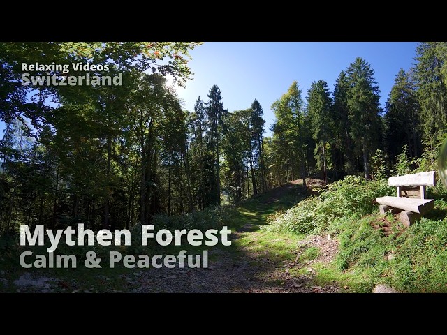 1 Hour Walk With Me Virtual Alpine Hike | Seewen to Mythen Mountains 4K