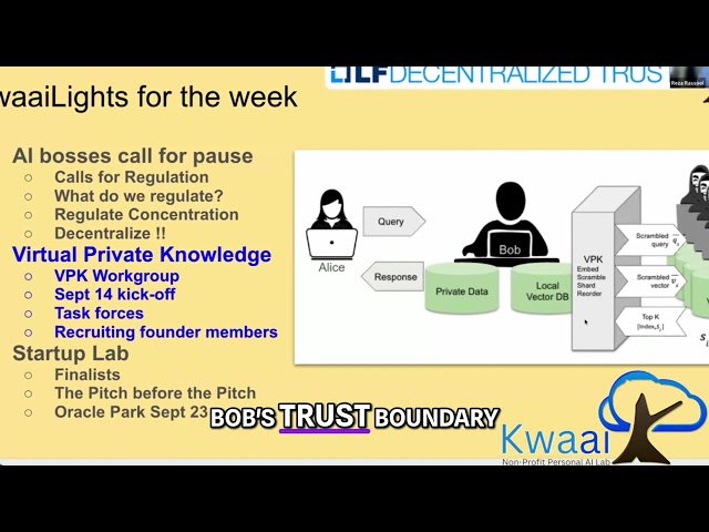 VPK: Securely Use AI Without Leaking Data